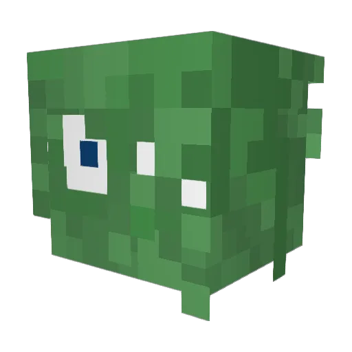 NoxiousRhino348 Minecraft avatar head, 3D render