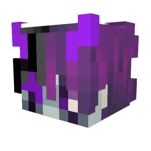 Noxittee Minecraft avatar head, 3D render