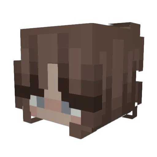 Noxoi Minecraft avatar head, 3D render
