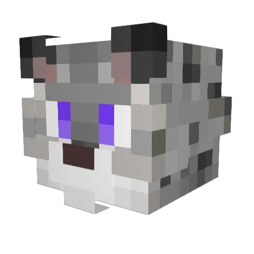 NoxtheSnep Minecraft avatar head, 3D render
