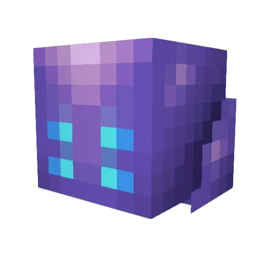Noxus72 Minecraft avatar head, 3D render