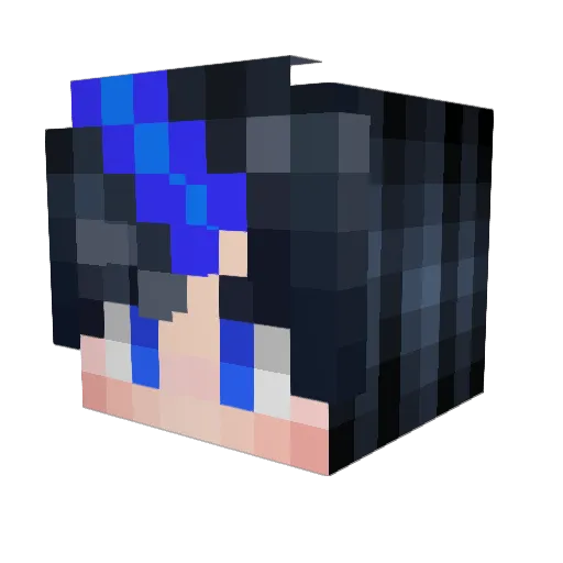 Noxussmoi Minecraft avatar head, 3D render