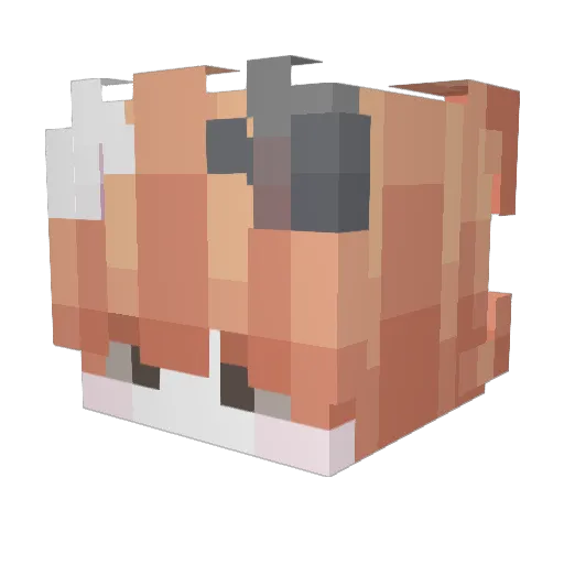 Noxx1de Minecraft avatar head, 3D render