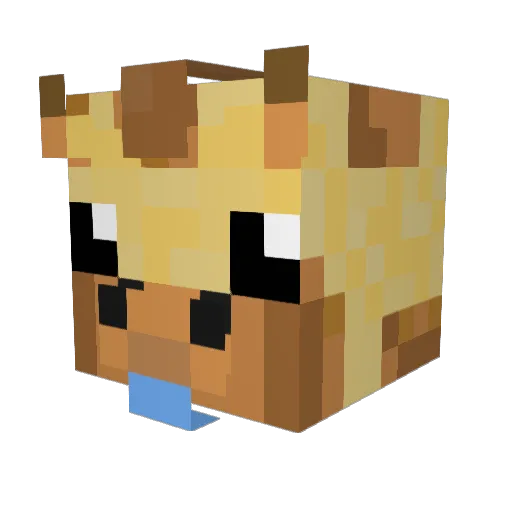 Noxystem Minecraft avatar head, 3D render