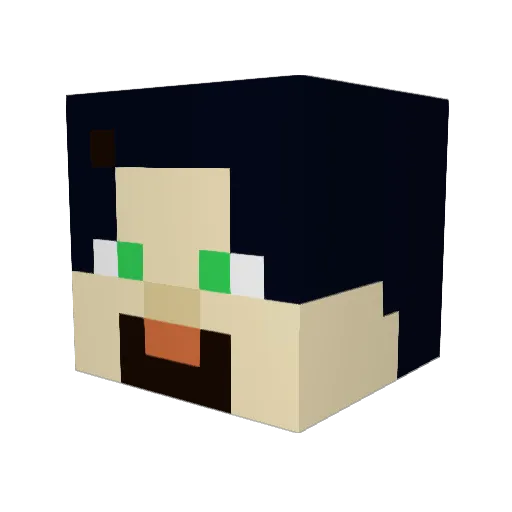 Noy1266 Minecraft avatar head, 3D render