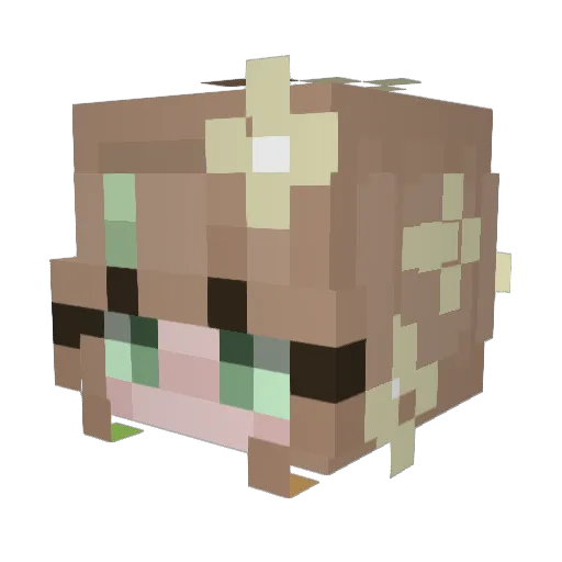 Noya1s Minecraft avatar head, 3D render
