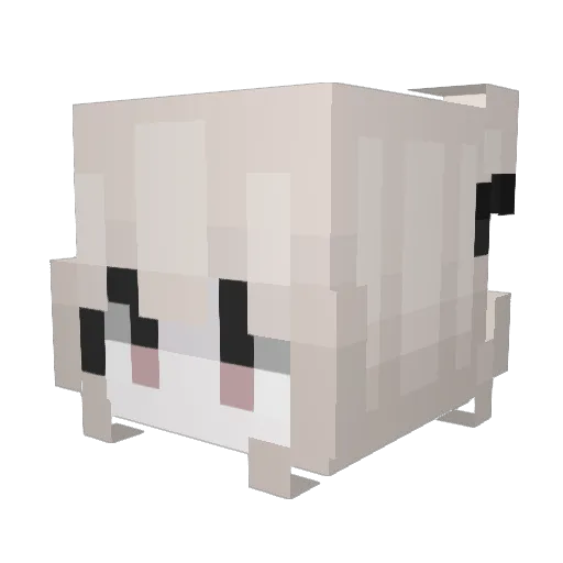 Noycute Minecraft avatar head, 3D render