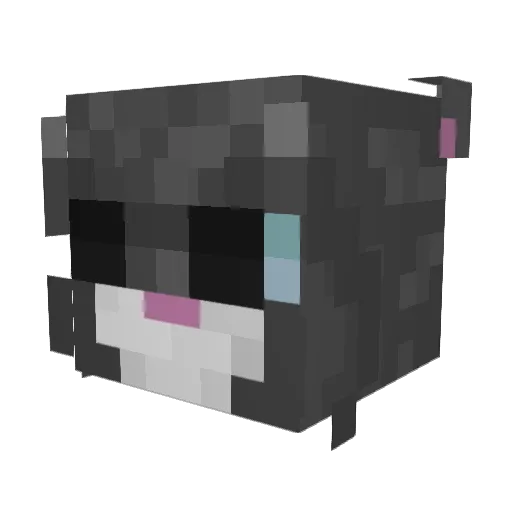 Noyll Minecraft avatar head, 3D render