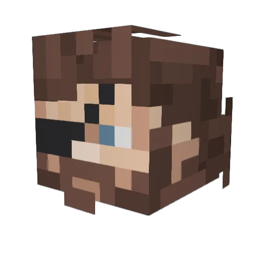 NoythanKing Minecraft avatar head, 3D render