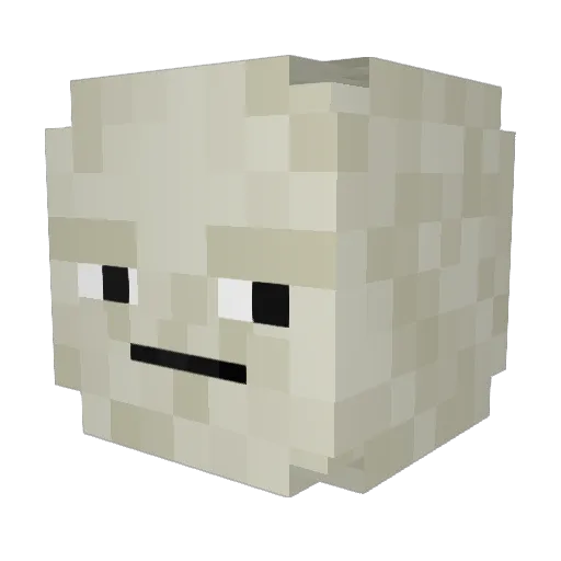 Nozin_ Minecraft avatar head, 3D render
