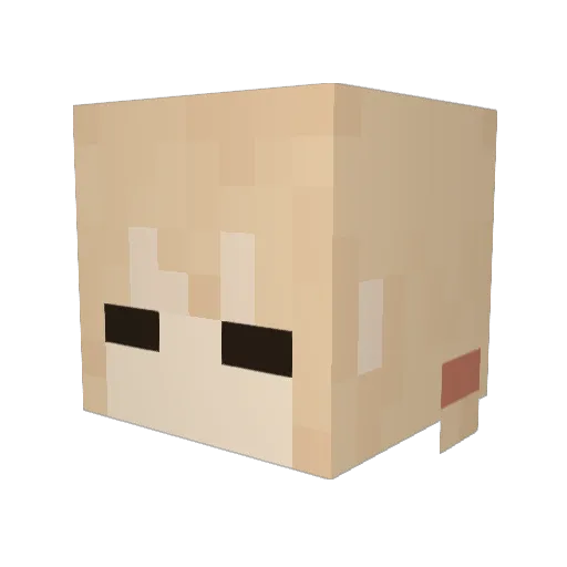 Nozomi1102 Minecraft avatar head, 3D render