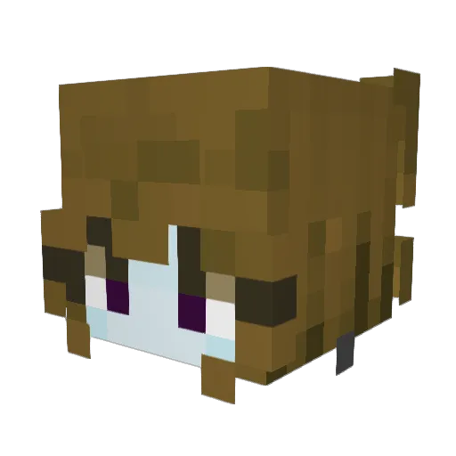 Nozomi____ Minecraft avatar head, 3D render