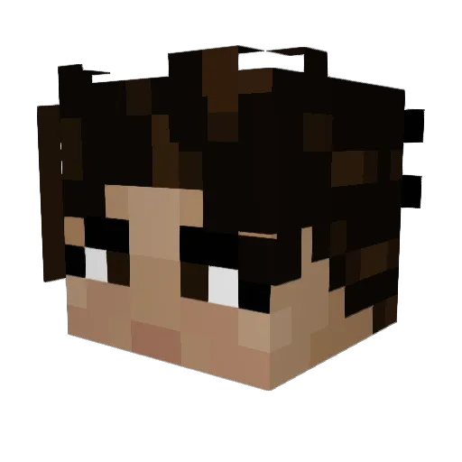 Nozyksss Minecraft avatar head, 3D render