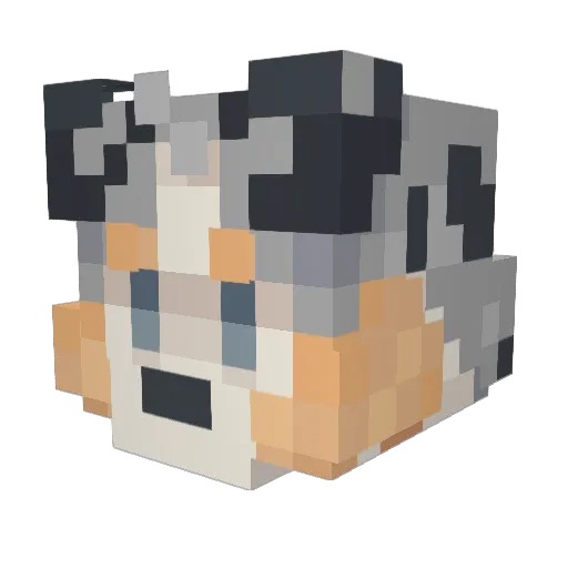 Npc2137 Minecraft avatar head, 3D render