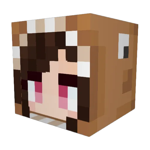 Npc_1355 Minecraft avatar head, 3D render