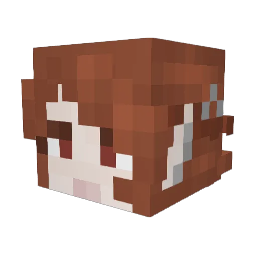 Npcccfpk Minecraft avatar head, 3D render