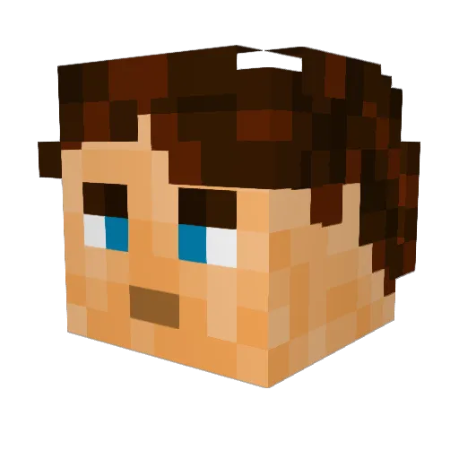 Nplay Minecraft avatar head, 3D render