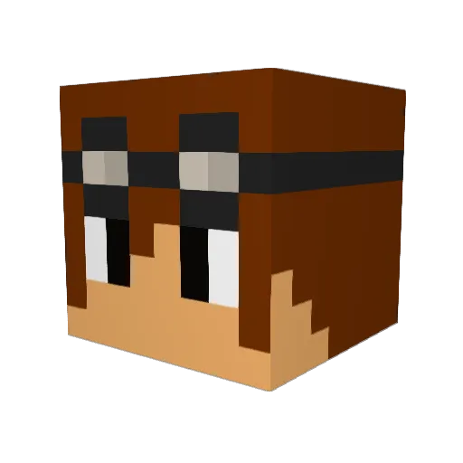 Npll02 Minecraft avatar head, 3D render