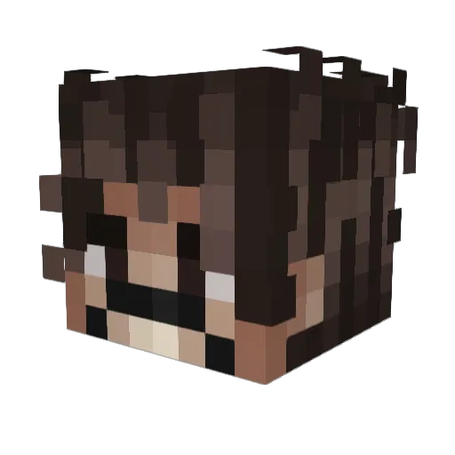 NpwXD Minecraft avatar head, 3D render