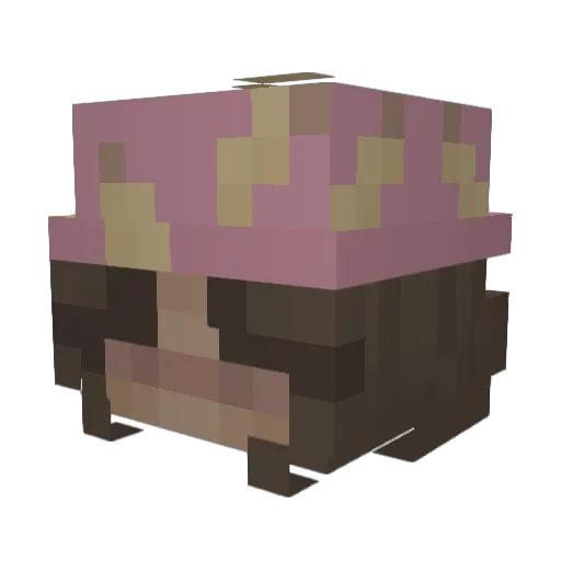 Nqcturne Minecraft avatar head, 3D render