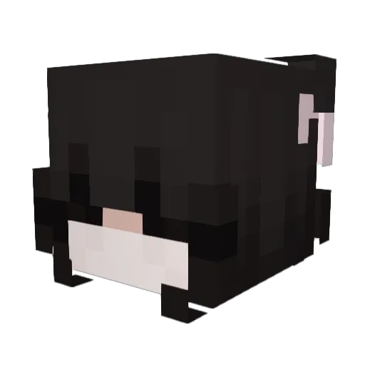 Nqdi Minecraft avatar head, 3D render