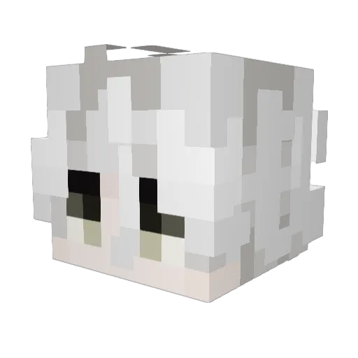 Nqgi_ Minecraft avatar head, 3D render