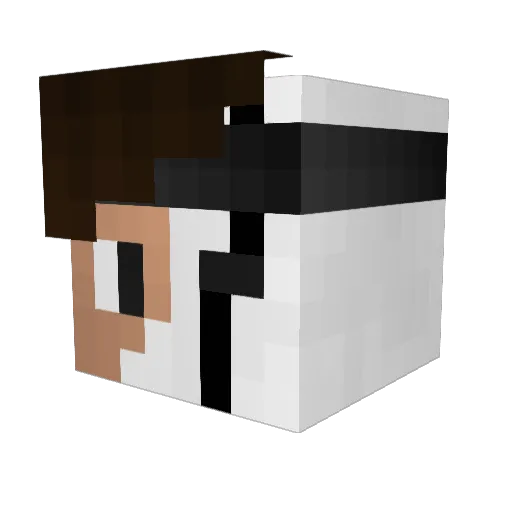 Nqsko Minecraft avatar head, 3D render