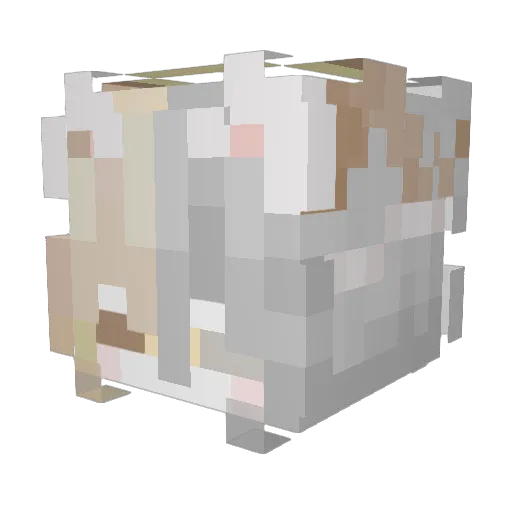 Nqture Minecraft avatar head, 3D render