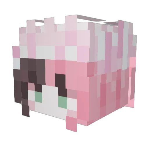 Nqxn Minecraft avatar head, 3D render