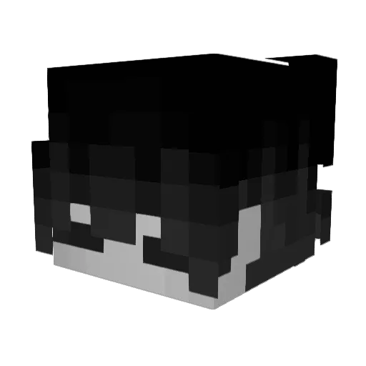 Nqxsx Minecraft avatar head, 3D render