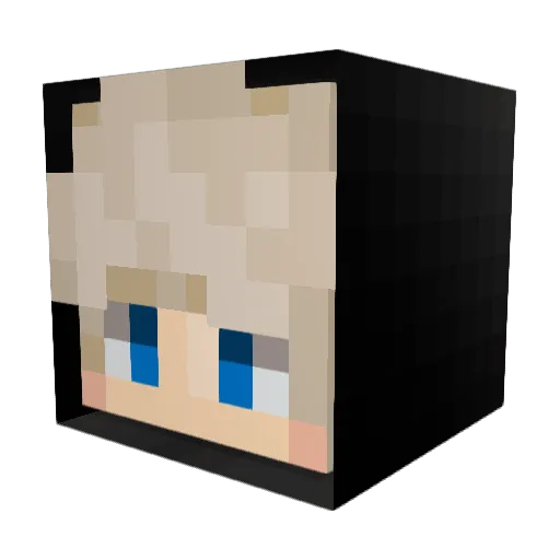 Nr123123 Minecraft avatar head, 3D render