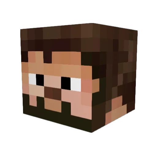 Nr1_Protje Minecraft avatar head, 3D render