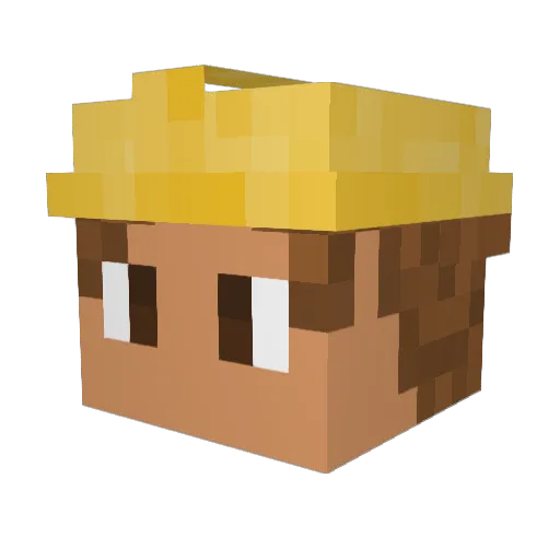 NrT95 Minecraft avatar head, 3D render