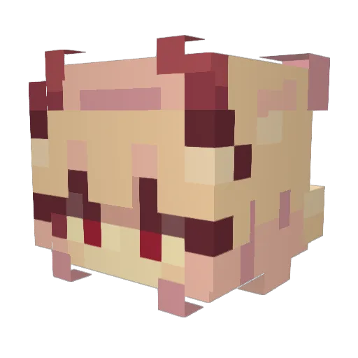 Nrealityy Minecraft avatar head, 3D render
