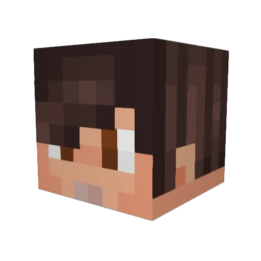 Nrf443 Minecraft avatar head, 3D render