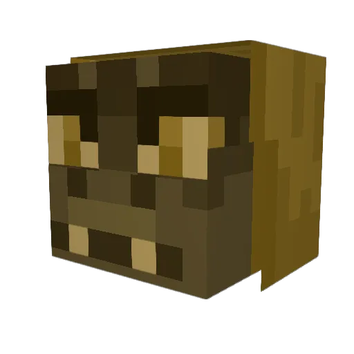 Nrod3773 Minecraft avatar head, 3D render