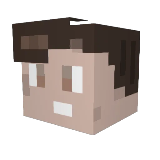 Nrxbi_YT Minecraft avatar head, 3D render