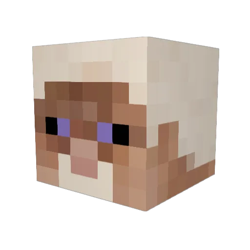Nsblue11 Minecraft avatar head, 3D render