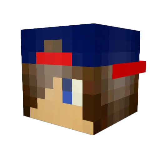 Nselp Minecraft avatar head, 3D render
