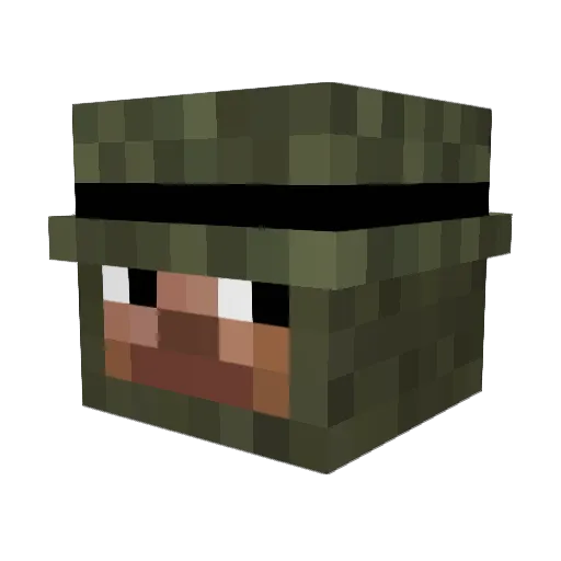 Nsm_ Minecraft avatar head, 3D render