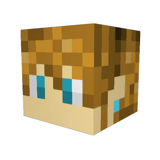 Nswich2 Minecraft avatar head, 3D render