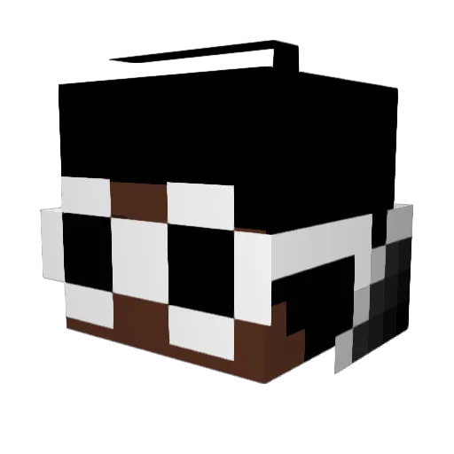 NtNoxSNIPEZz Minecraft avatar head, 3D render