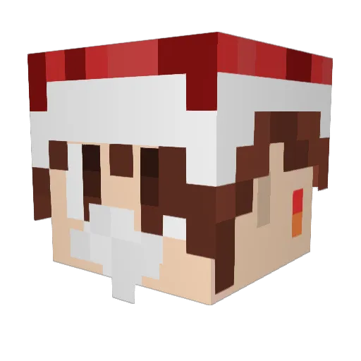 Nt_siki Minecraft avatar head, 3D render
