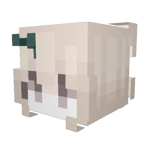 Nthsey Minecraft avatar head, 3D render