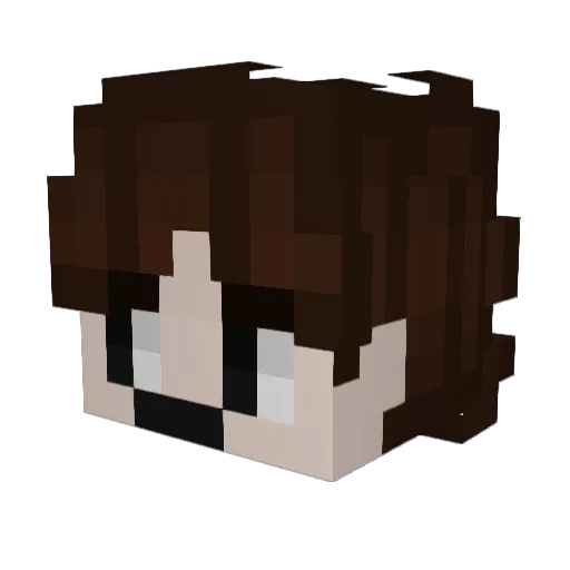 Ntnzx_ Minecraft avatar head, 3D render