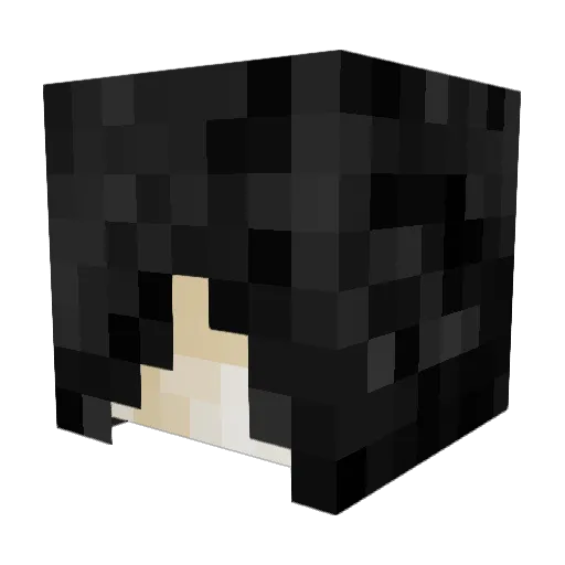 Ntr0py404 Minecraft avatar head, 3D render