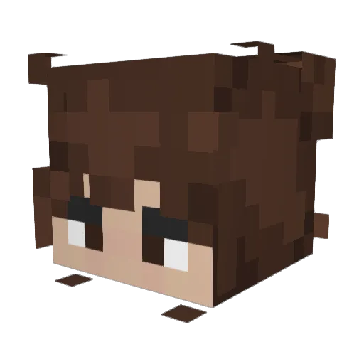 Ntthegrt Minecraft avatar head, 3D render