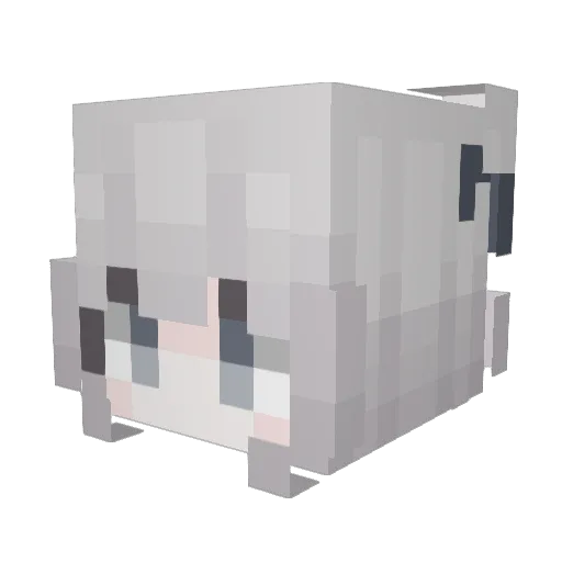 NtxheeYees Minecraft avatar head, 3D render