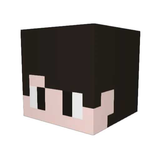 NuNeSs_ Minecraft avatar head, 3D render