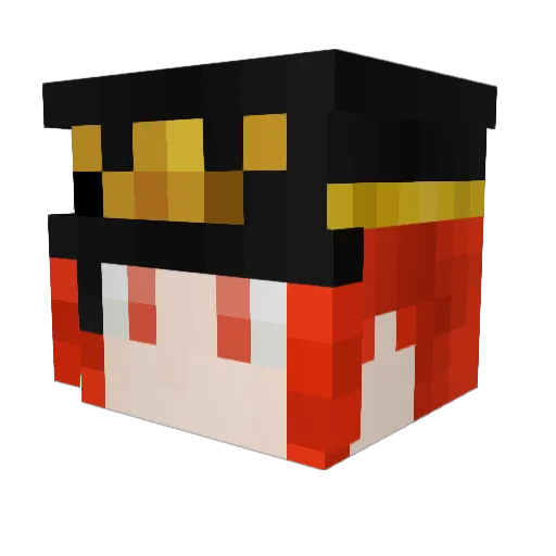 NuNuSisUn Minecraft avatar head, 3D render